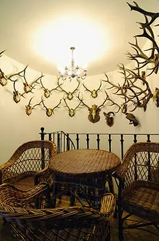 Guest house Kachelman